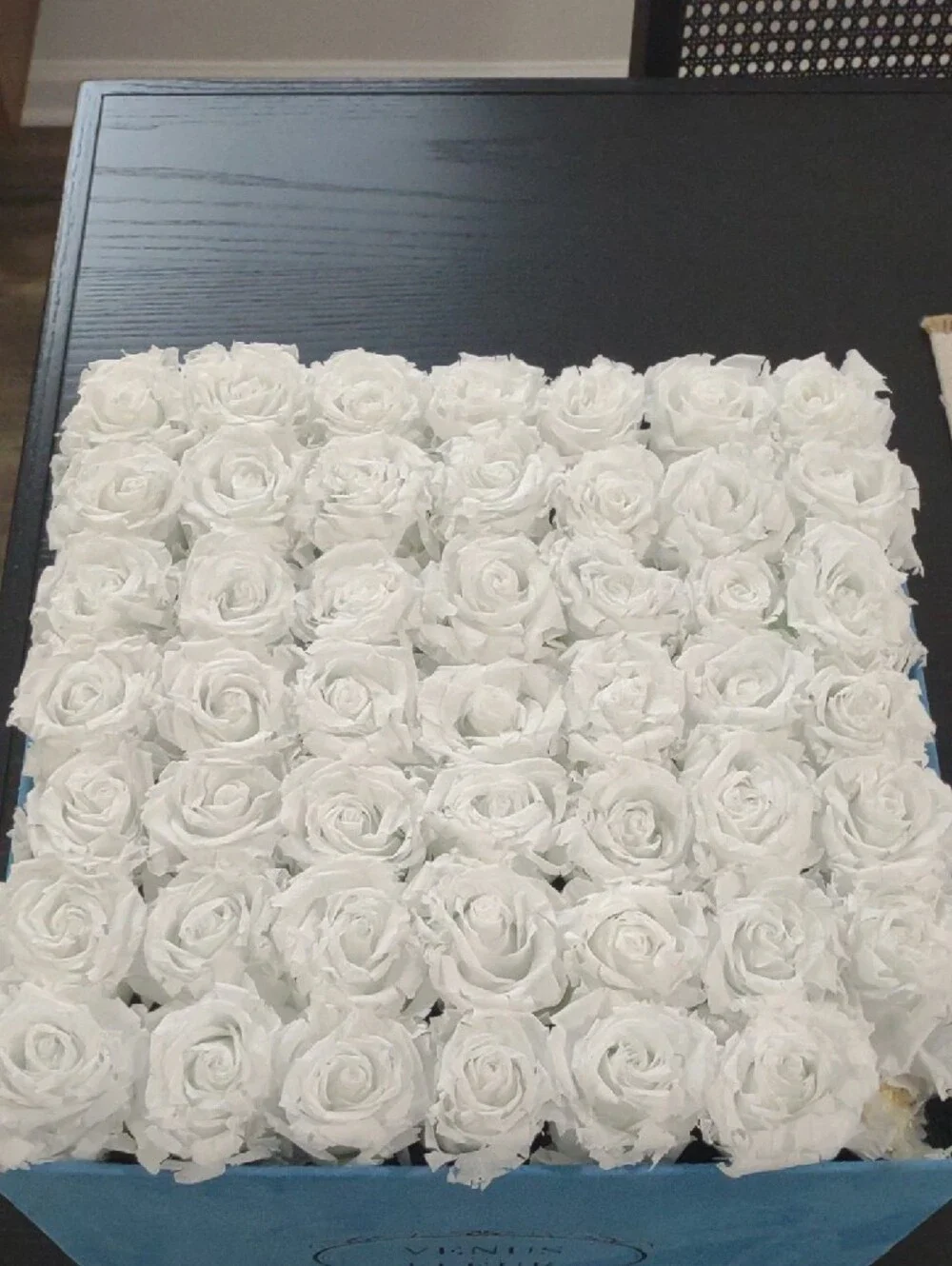 Venus et Fleur White Roses in Blue Velvet Box